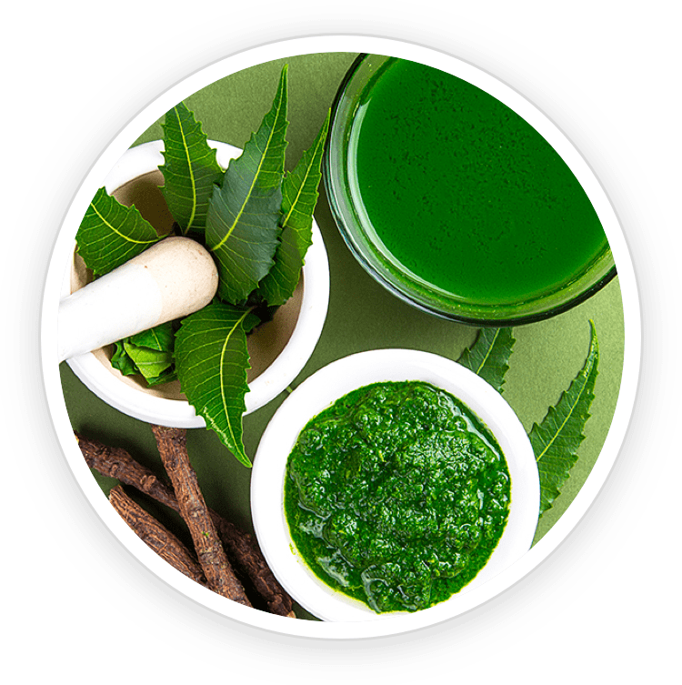 Neem leaves