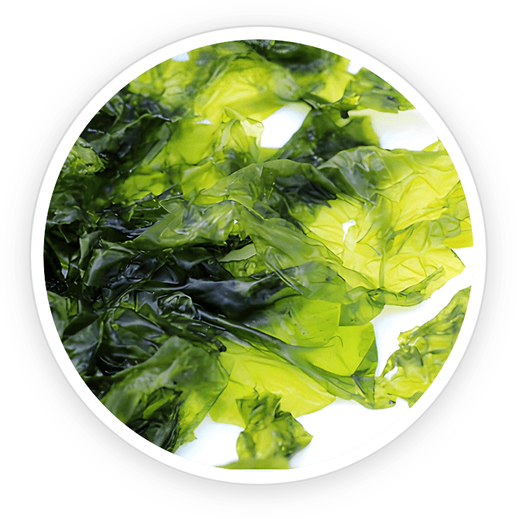 Nori Yaki seaweed