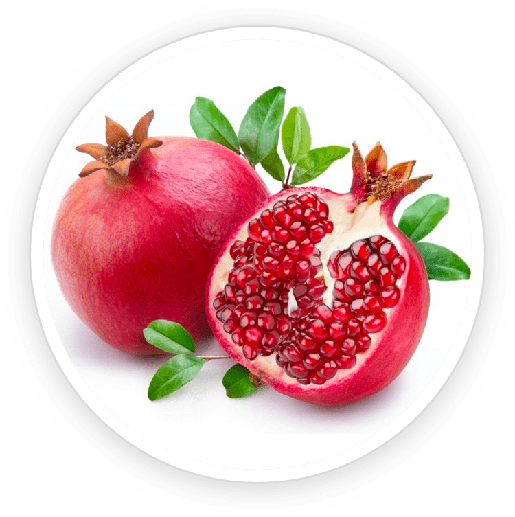 Pomegranate fruit