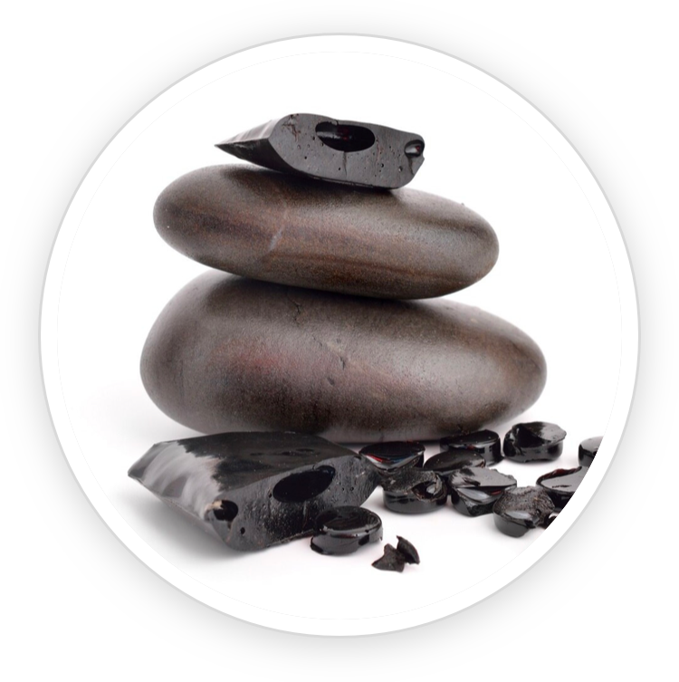 Shilajit resin
